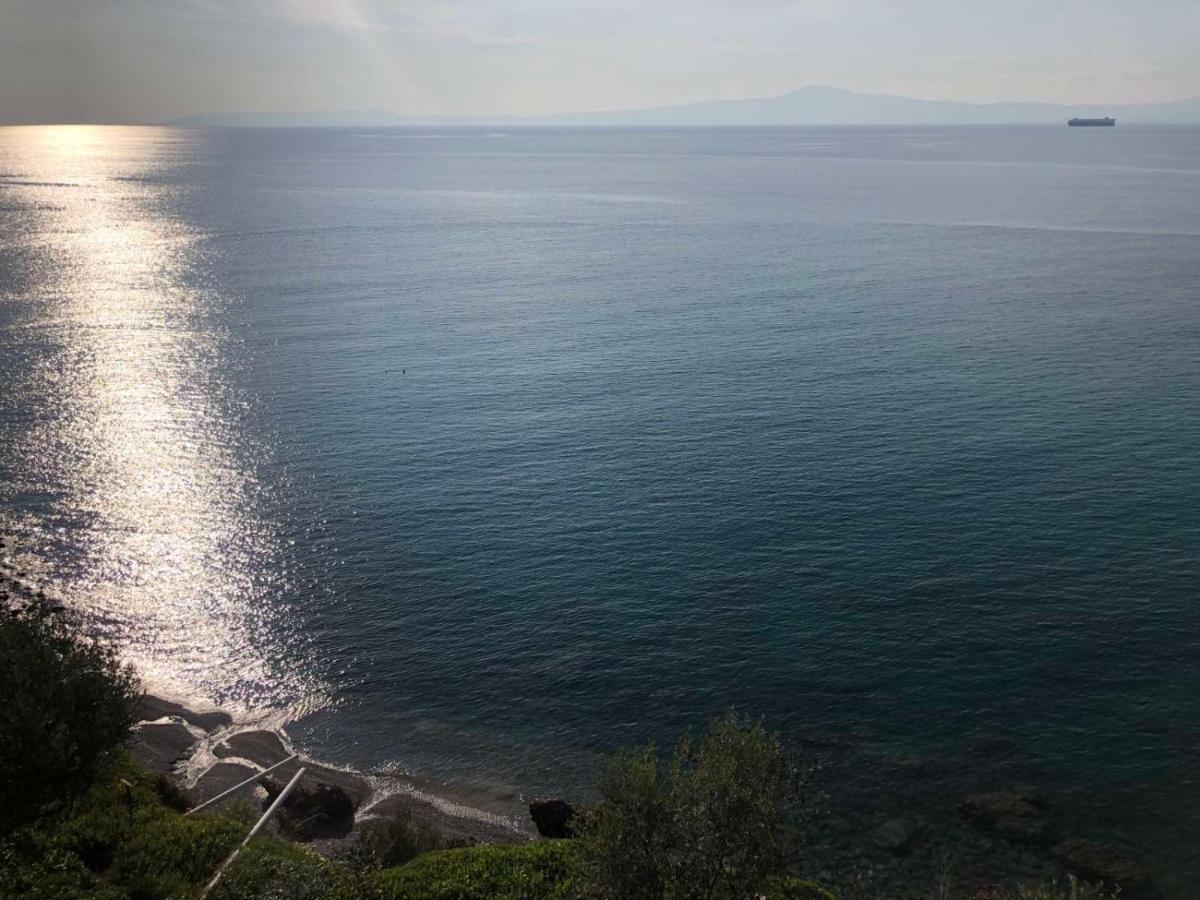 Apartment Difan Sea Homes A1 *